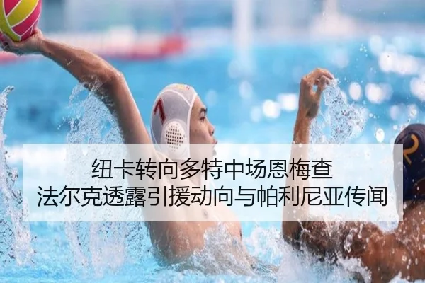纽卡转向多特中场恩梅查 法尔克透露引援动向与帕利尼亚传闻